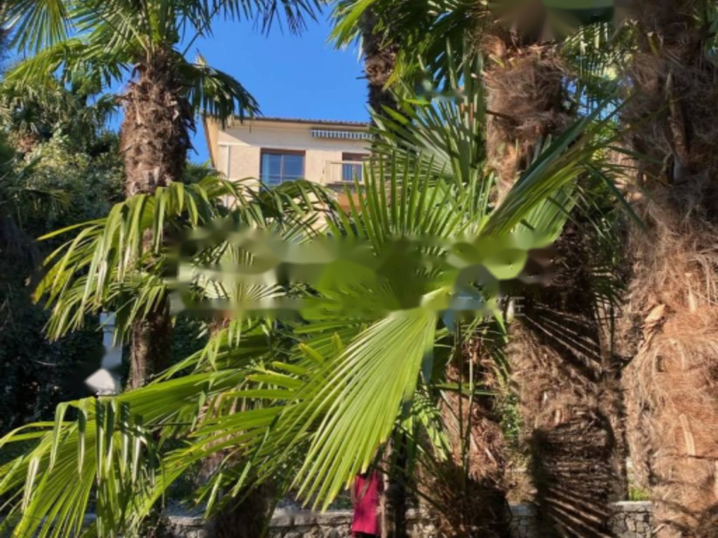 Maison à Opatija, Croatie, 230 m² - image 9