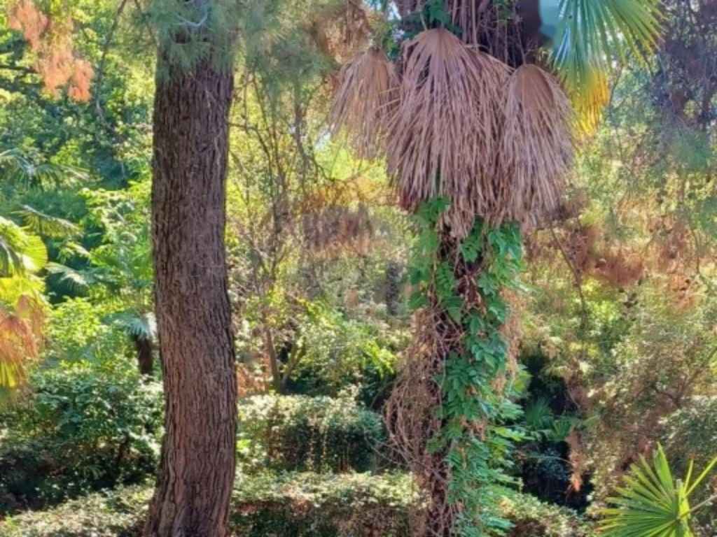 Wohnung in Opatija, Kroatien, 294 m² - Foto 9