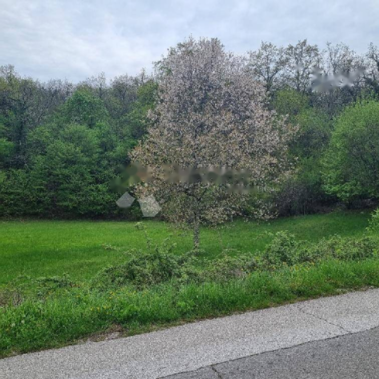 Maison à Opatija, Croatie, 170 m² - image 10