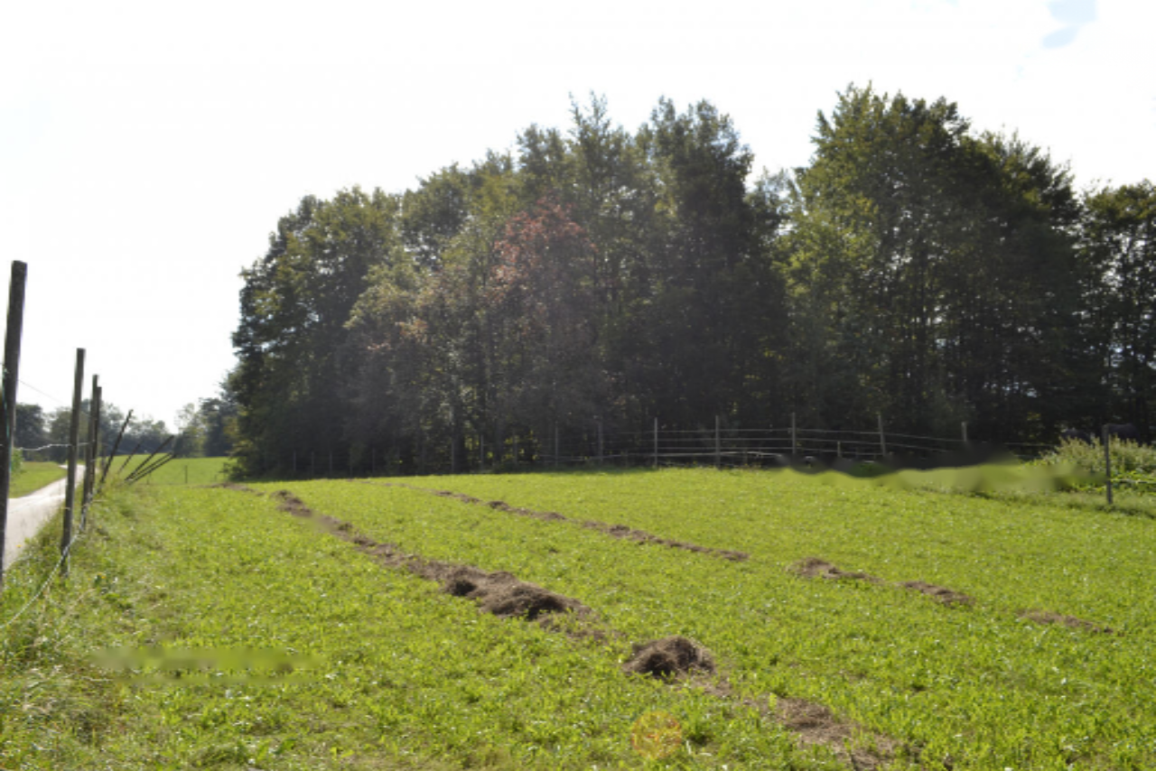 Terreno en Medvode, Eslovenia, 87 555 m² - imagen 11