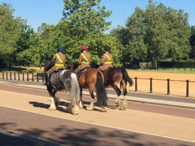 Appartement à Londres, Royaume-Uni, 44 m² - image 12