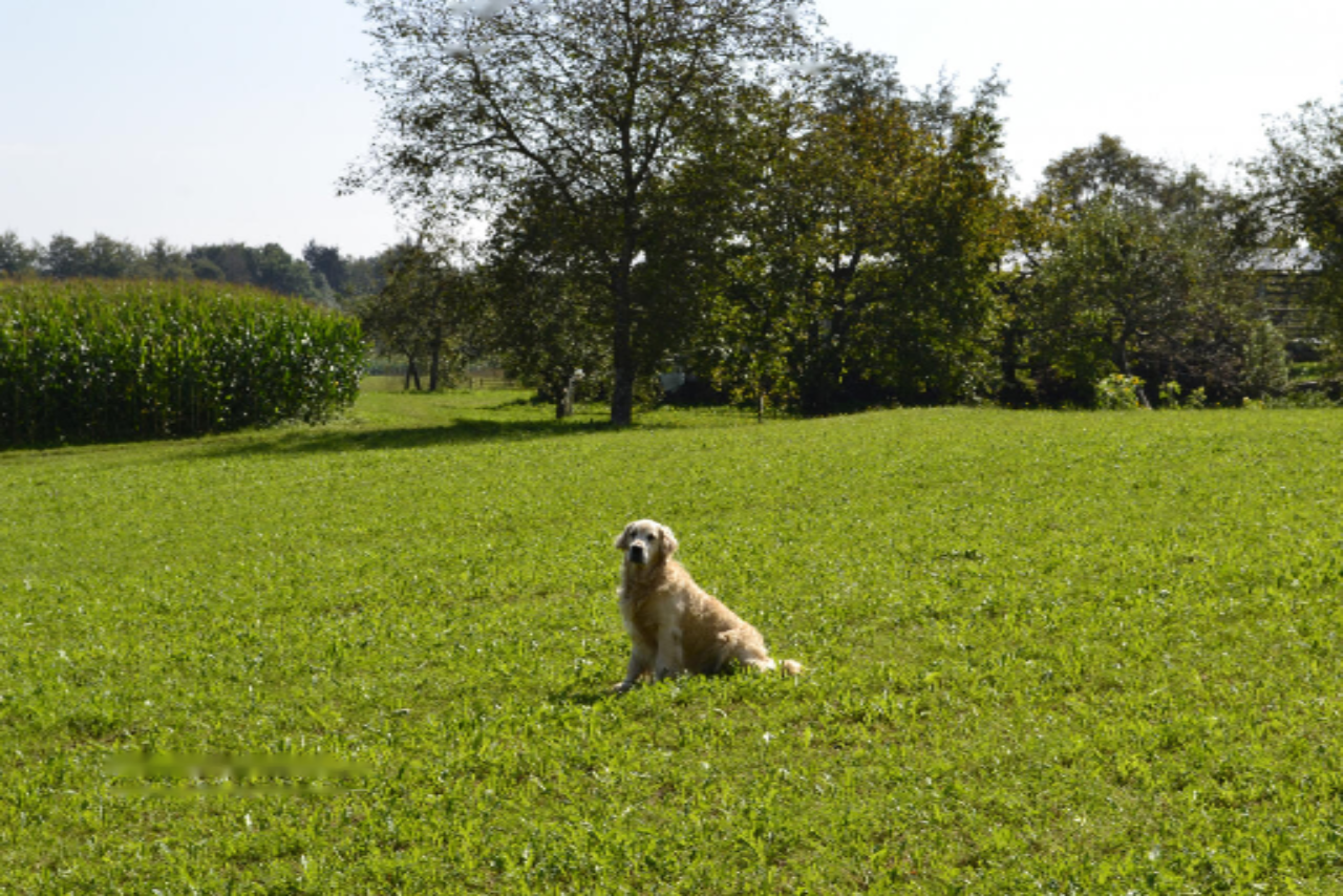 Terreno en Medvode, Eslovenia, 87 555 m² - imagen 16