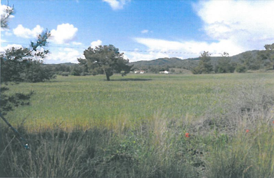 Terreno en Nicosia, Chipre, 26 000 m² - imagen 3