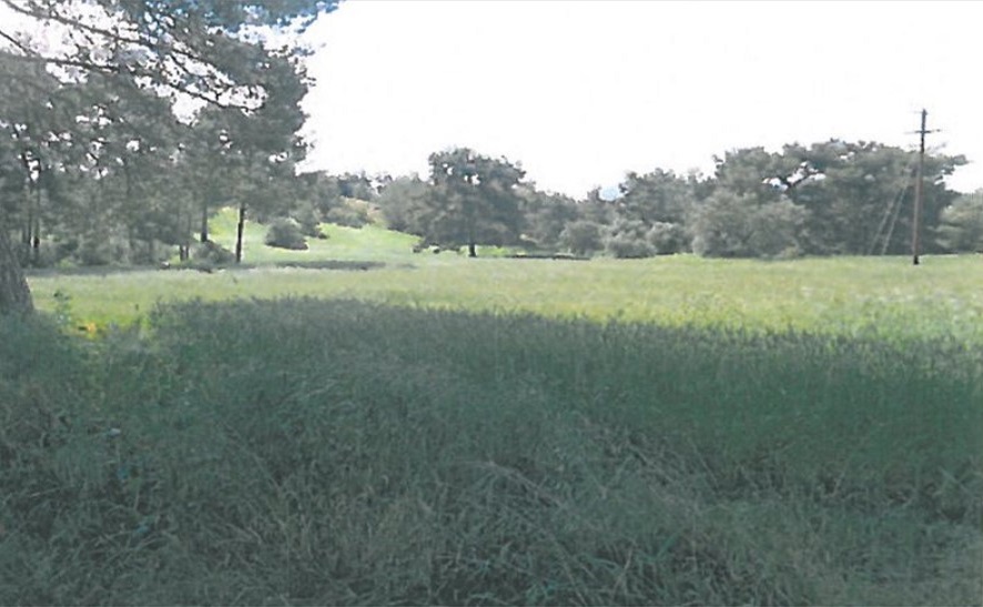 Terreno en Nicosia, Chipre, 26 000 m² - imagen 4