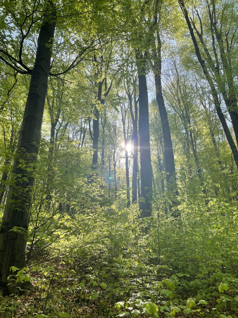 Villa Gablitz, Österreich, 380 m² - Foto 13