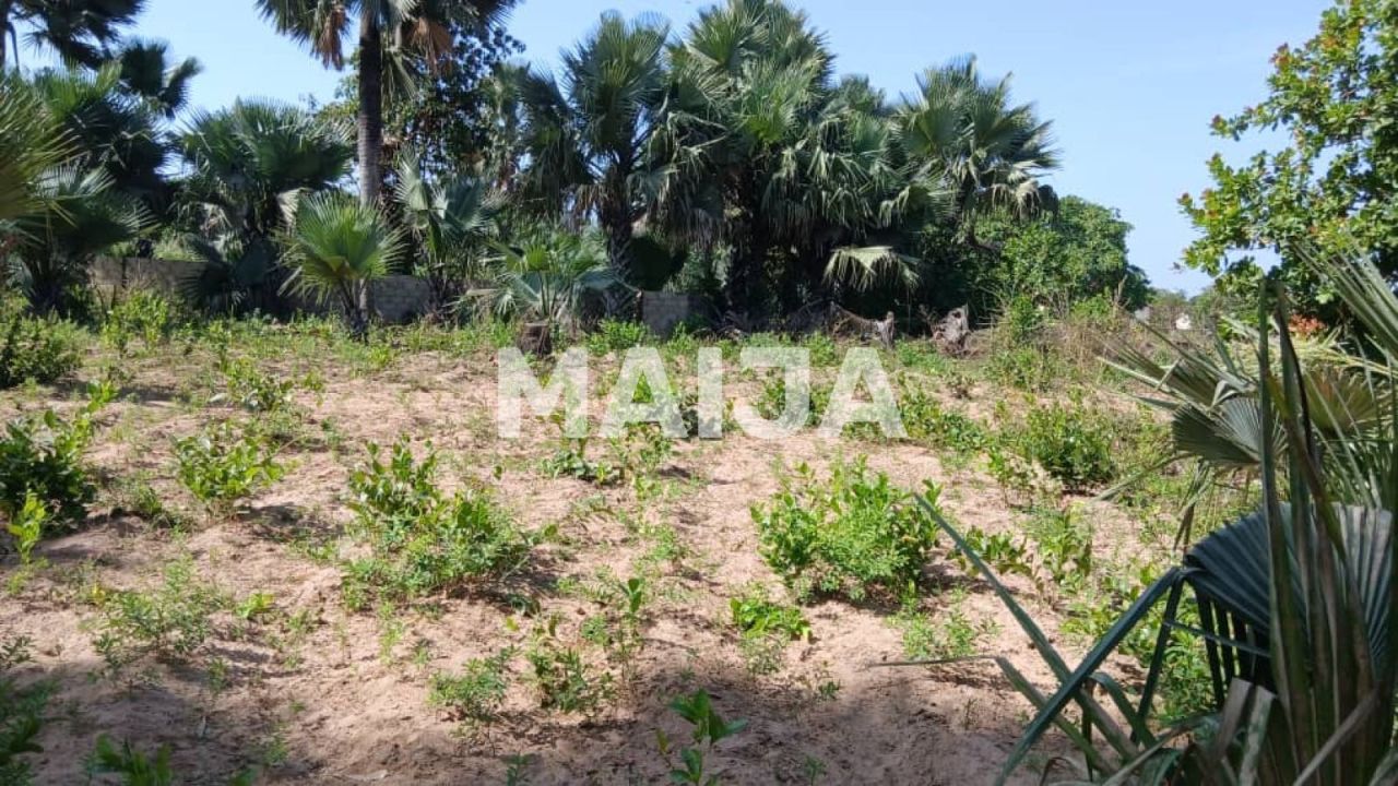 Land Gunjur, Gambia, 2 500 m² - picture 1