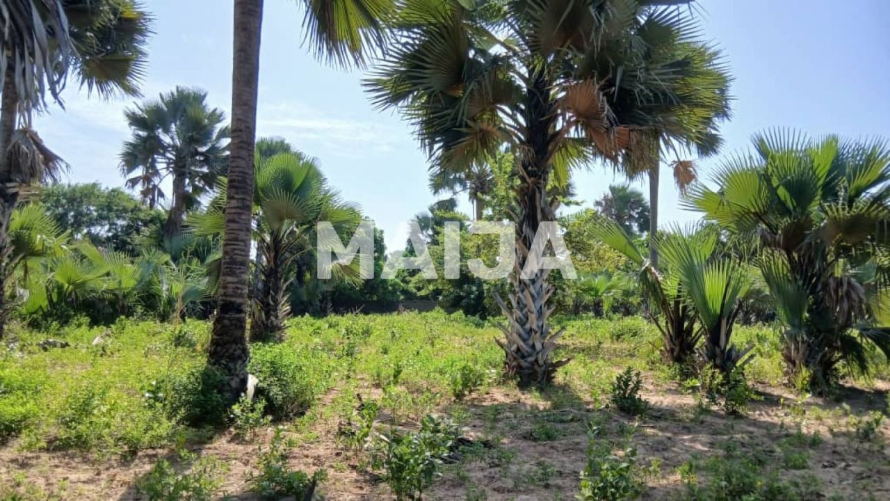 Land Gunjur, Gambia, 2 500 m² - picture 2