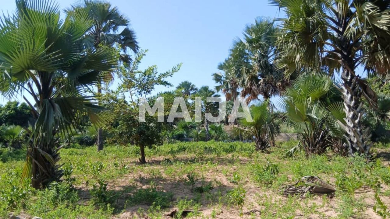 Land Gunjur, Gambia, 2 500 m² - picture 4