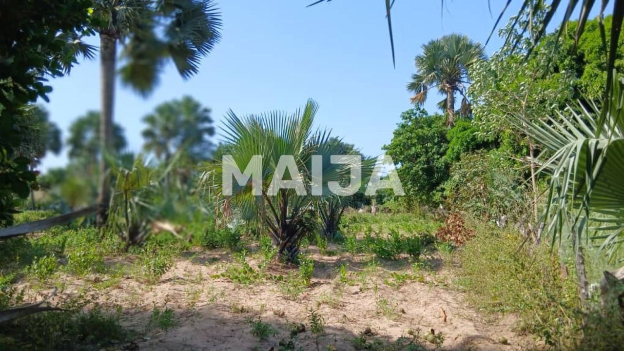 Land Gunjur, Gambia, 2 500 m² - picture 6