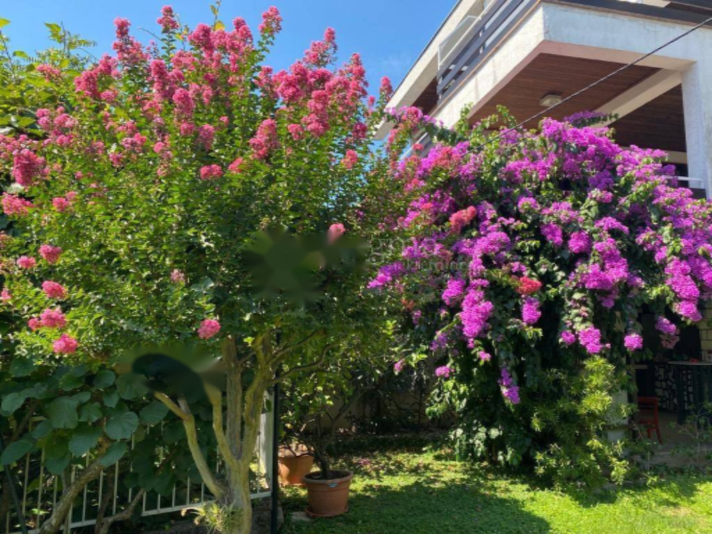 Maison à Opatija, Croatie, 350 m² - image 2