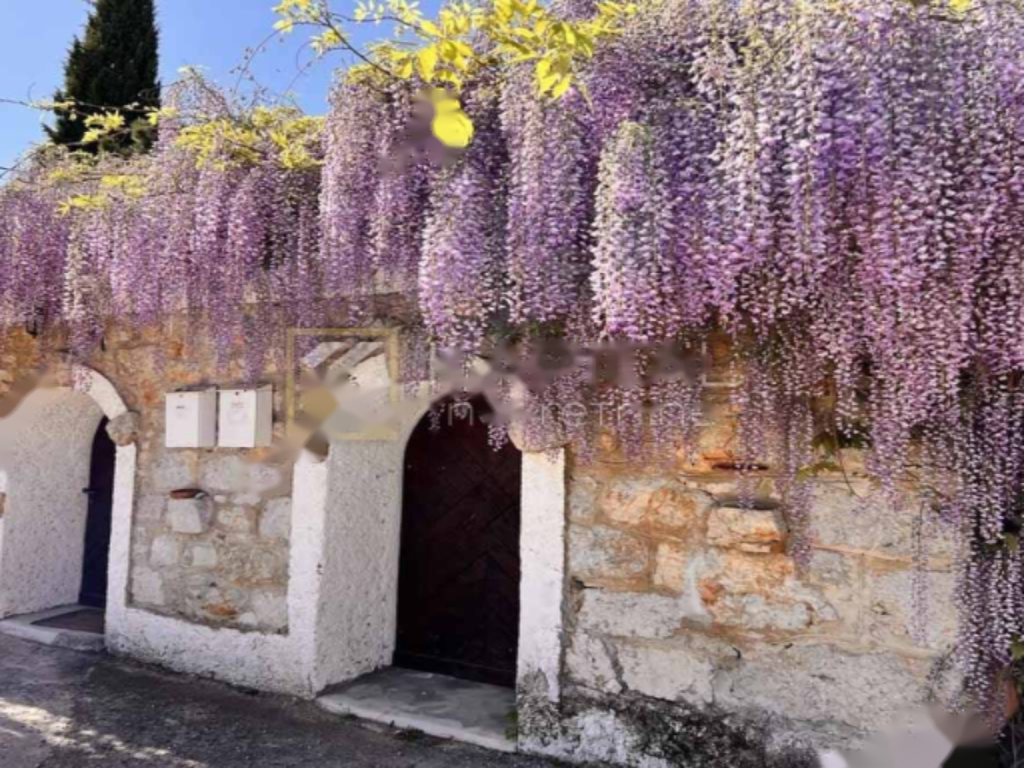 Flat in Opatija, Croatia, 58 m² - picture 2