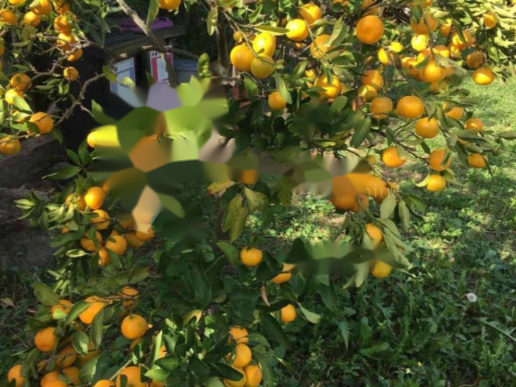 Flat in Opatija, Croatia, 92 m² - picture 4