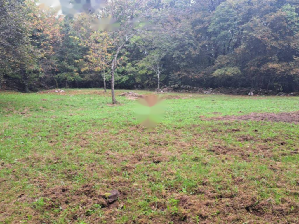 Haus in Opatija, Kroatien, 240 m² - Foto 6