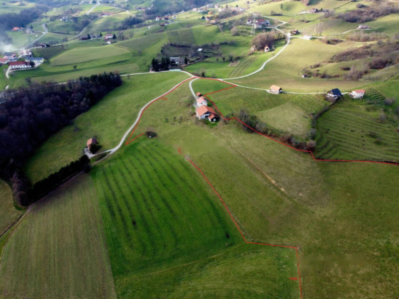 Farm in Podčetrtek, Slowenien, 254 m² - Foto 6