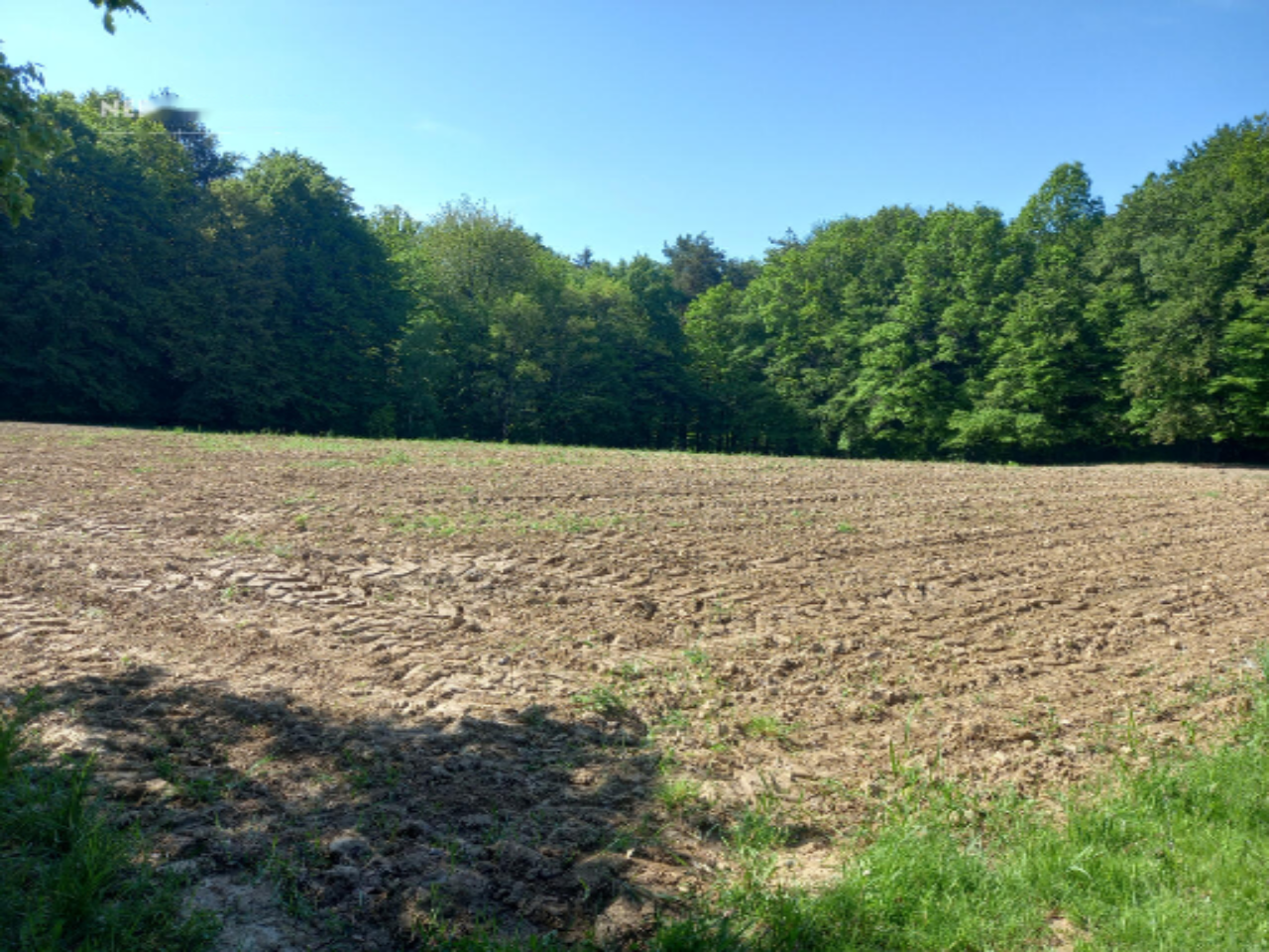 Casa a Gornja Radgona, Slovenia, 90 m² - foto 7