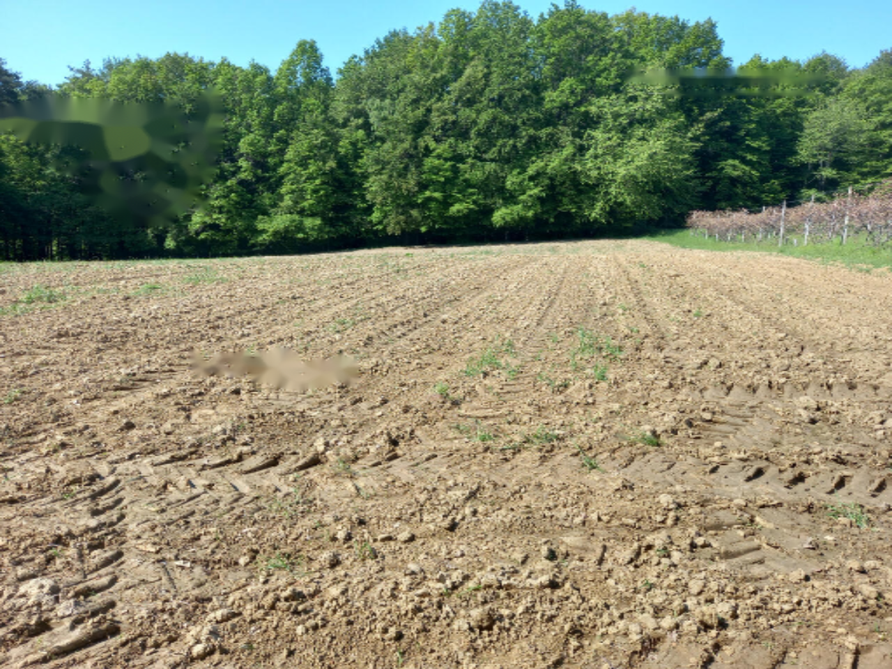 Casa a Gornja Radgona, Slovenia, 90 m² - foto 9