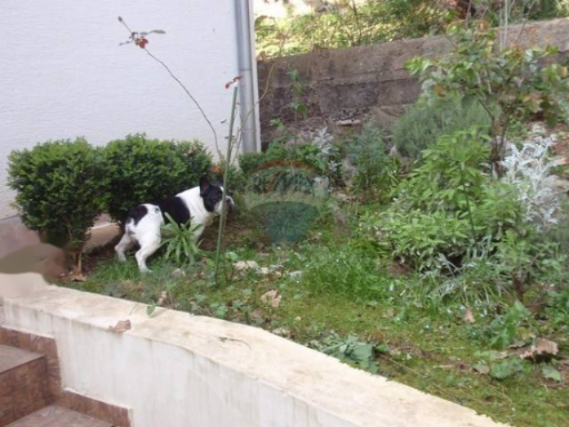 House in Opatija, Croatia, 288 m² - picture 11