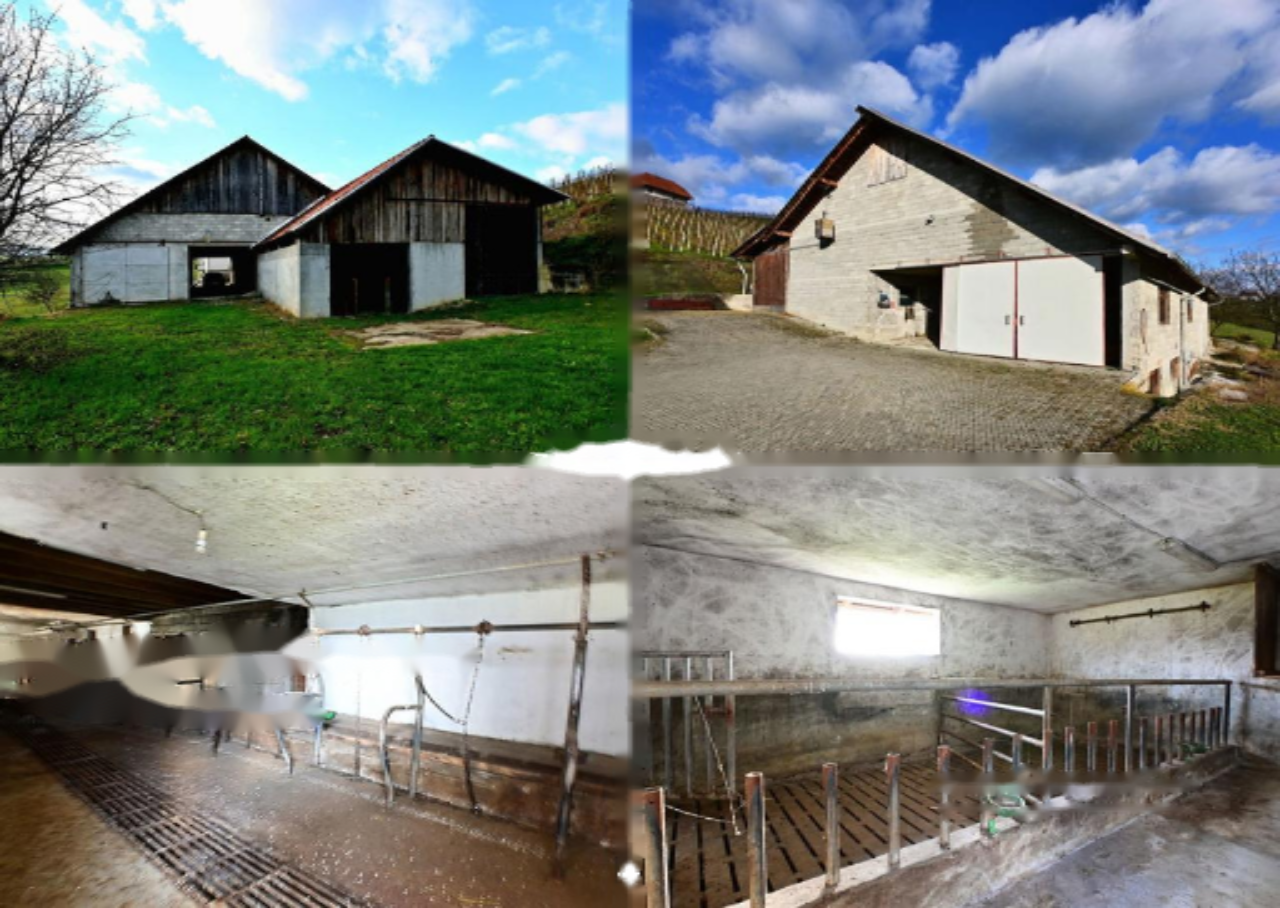 Farm in Podčetrtek, Slowenien, 254 m² - Foto 12