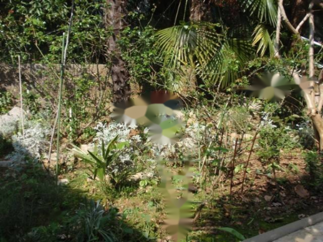 House in Opatija, Croatia, 288 m² - picture 12