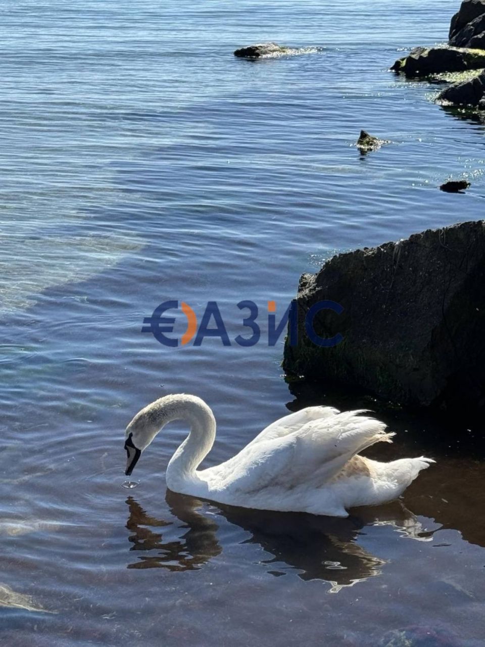 Appartamenti a Pomorie, Bulgaria, 72.1 m² - foto 14