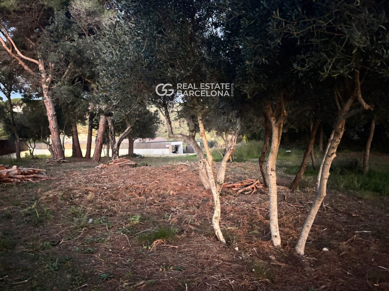 Maison Barcelona, Sant Andreu de Llavaneres, Espagne, 399 m² - image 14