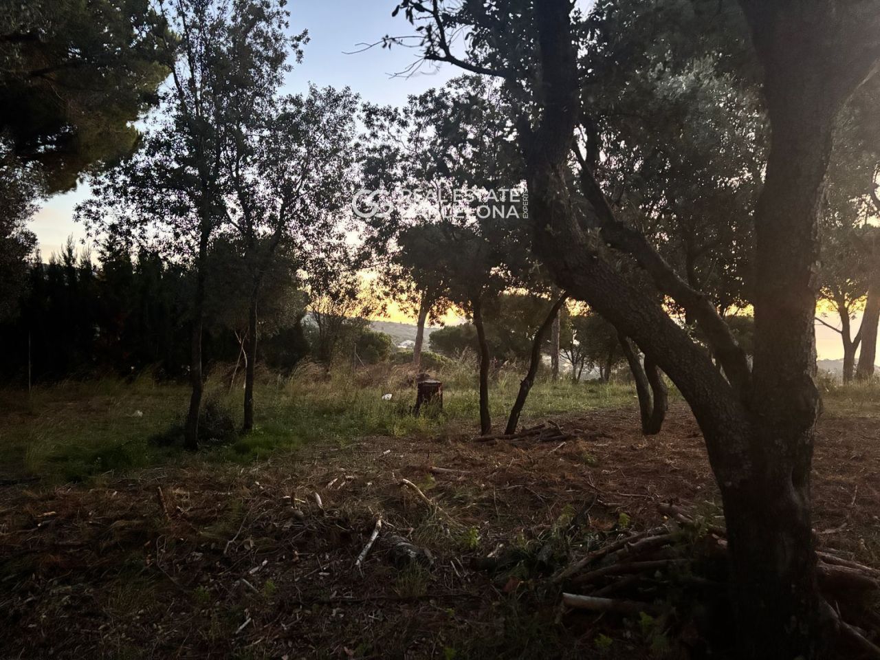 Maison Barcelona, Sant Andreu de Llavaneres, Espagne, 399 m² - image 17