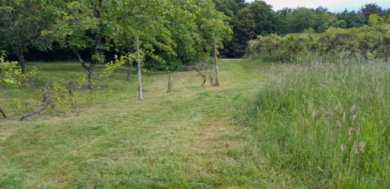 Casa a Gornja Radgona, Slovenia, 90 m² - foto 12