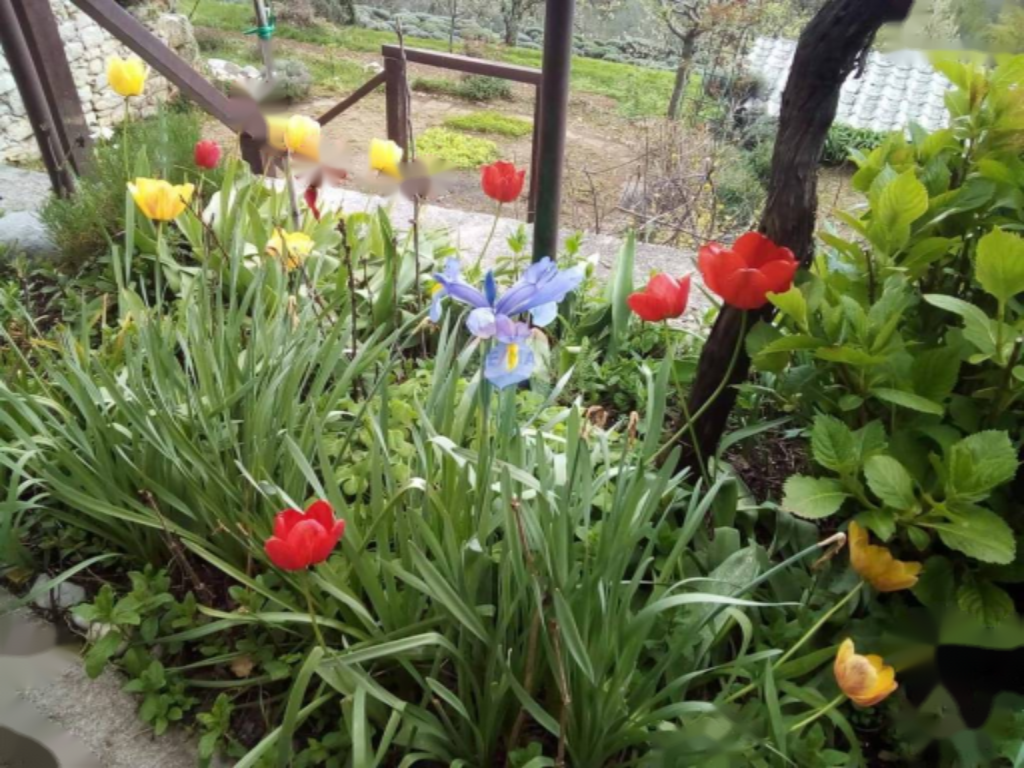 Maison à Opatija, Croatie, 230 m² - image 15