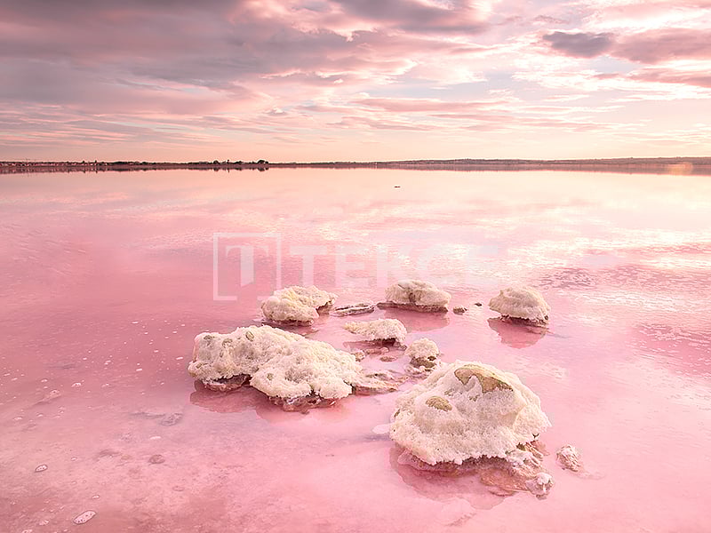 Villa in Torrevieja, Spain, 124 m² - picture 7