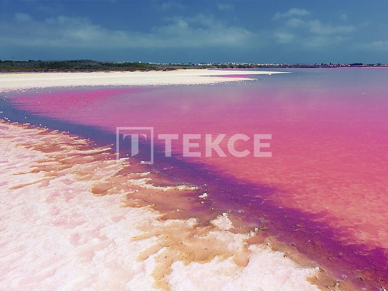 Villa in Torrevieja, Spain, 124 m² - picture 9