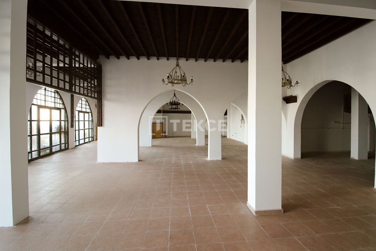 Café, restaurant à Kyrenia, Chypre, 400 m² - image 11