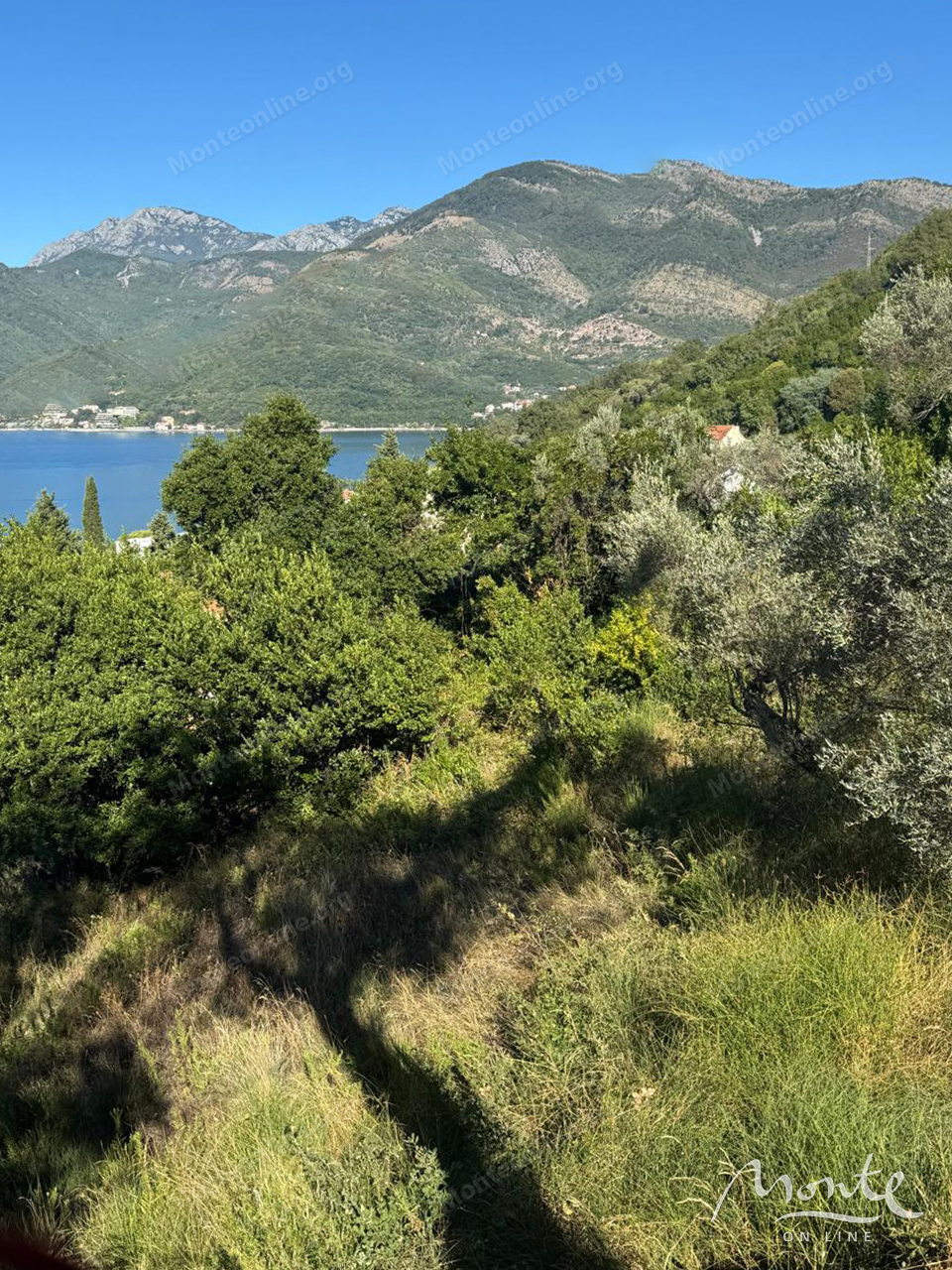 Grundstück in Tivat, Montenegro, 3 161 m² - Foto 2