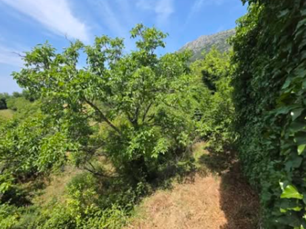 Casa Pechurice, Montenegro, 102 m² - foto 4