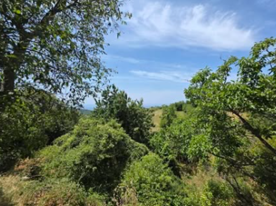 Casa Pechurice, Montenegro, 102 m² - foto 5