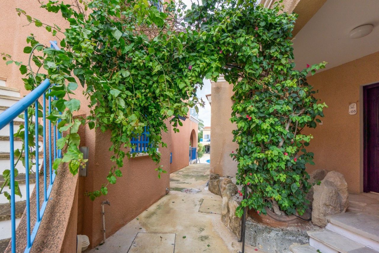 Apartment in Paphos, Cyprus, 74 m² - picture 5