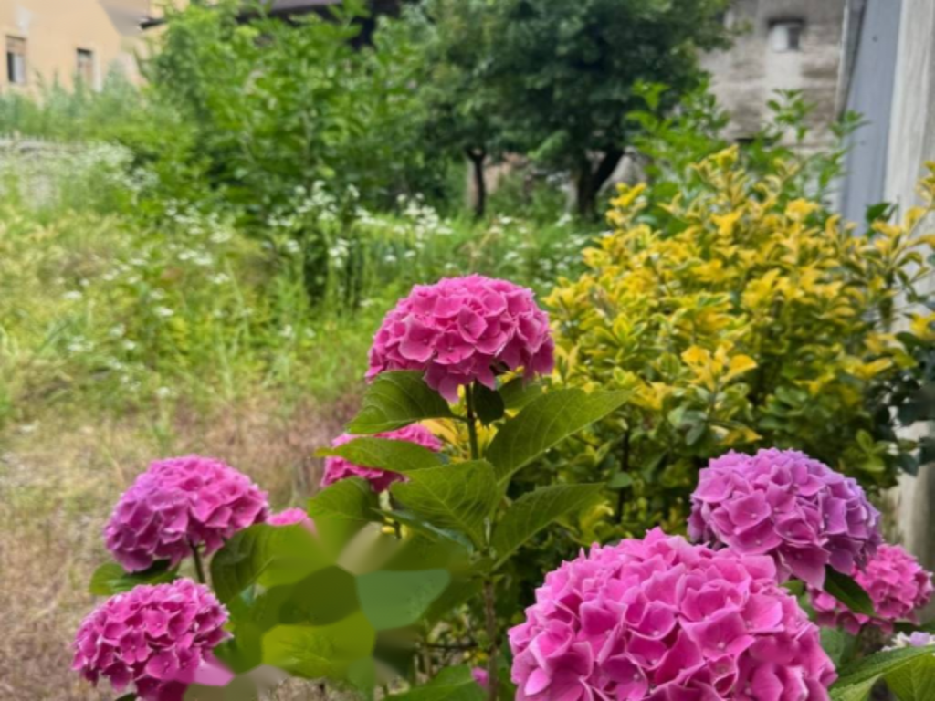 Flat in Gorizia, Italy, 119 m² - picture 1