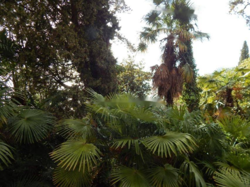 Appartement à Opatija, Croatie, 244 m² - image 10