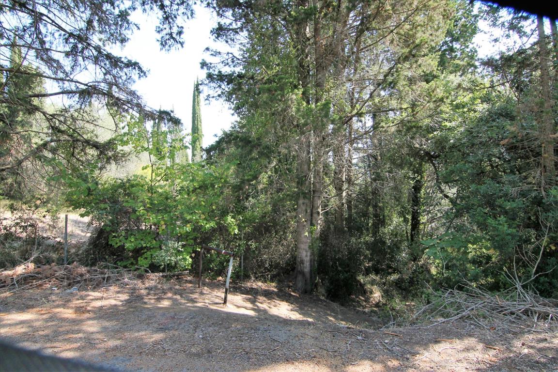 Land in Corfu, Greece, 20 700 m² - picture 1