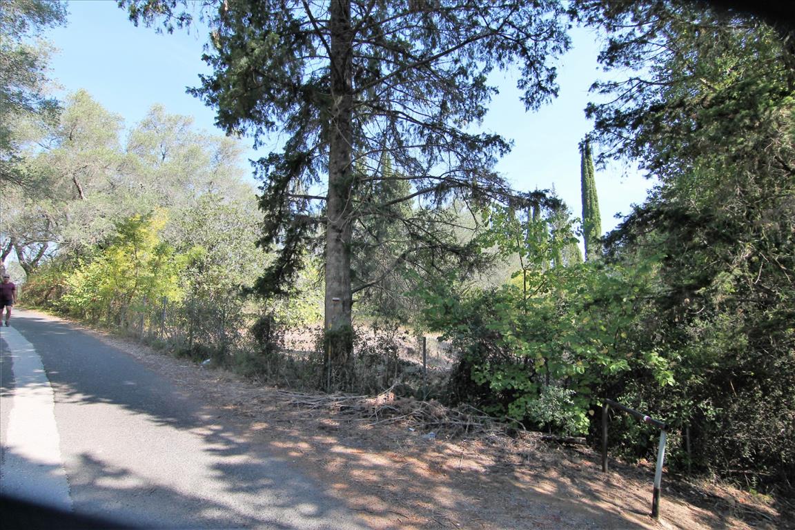 Land in Corfu, Greece, 20 700 m² - picture 2