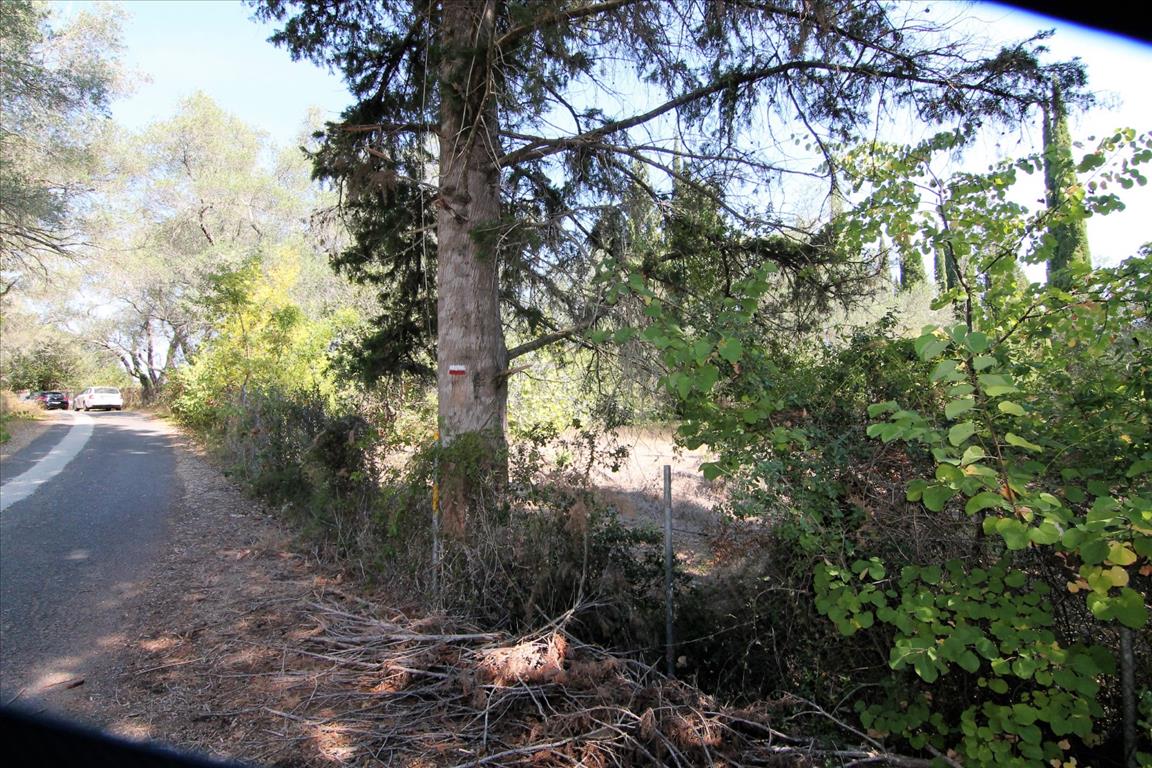 Land in Corfu, Greece, 20 700 m² - picture 3
