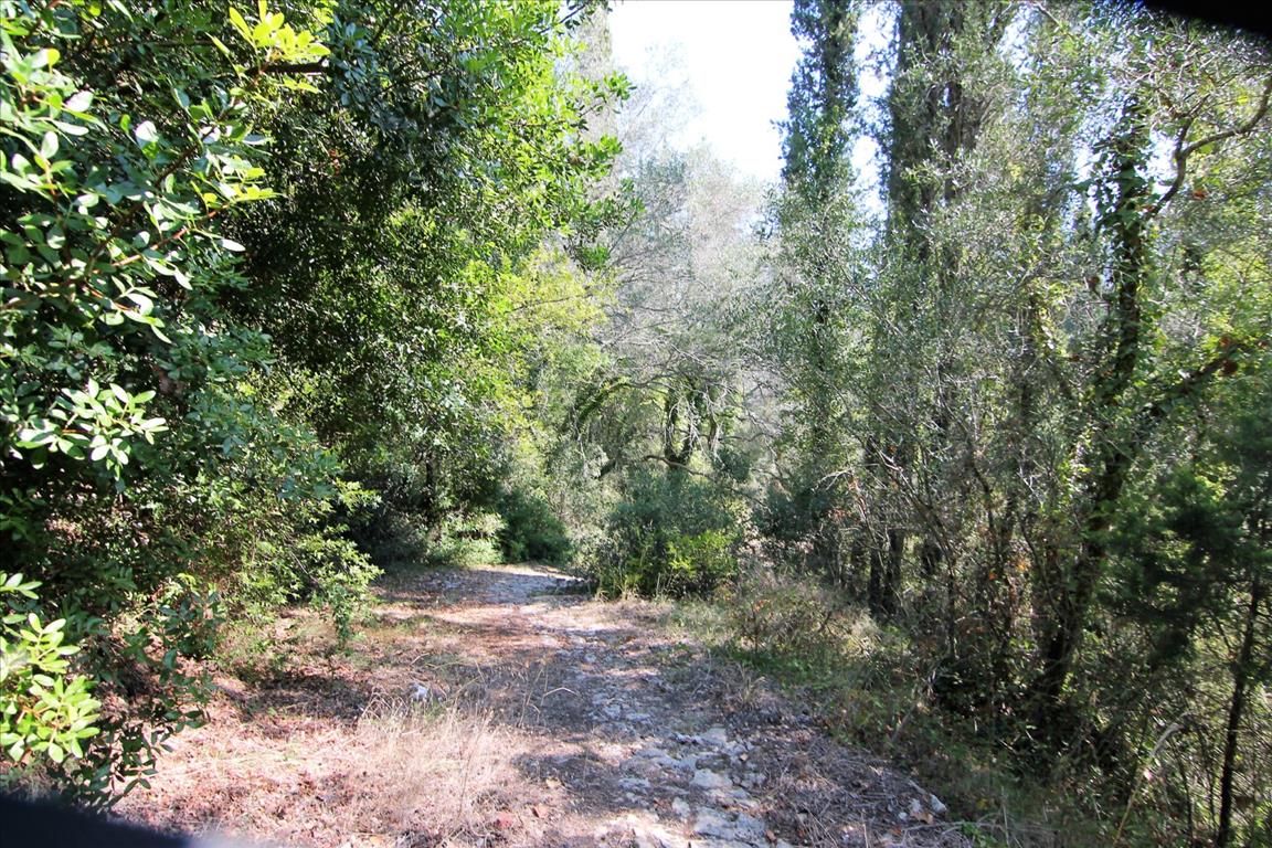Land in Corfu, Greece, 20 700 m² - picture 4