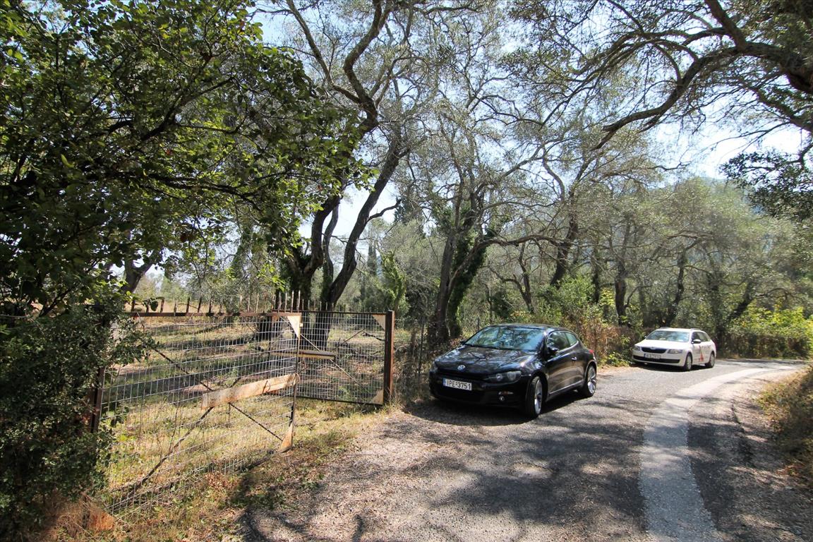 Land in Corfu, Greece, 20 700 m² - picture 10