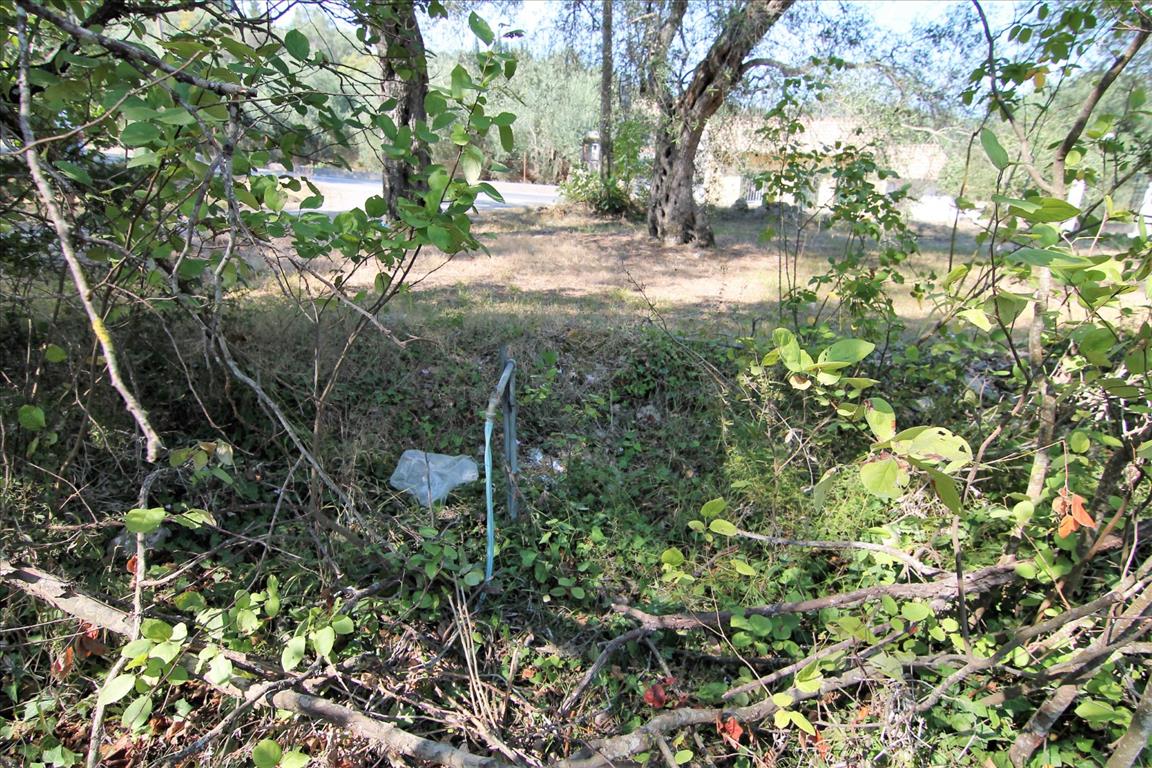 Land in Corfu, Greece, 20 700 m² - picture 11