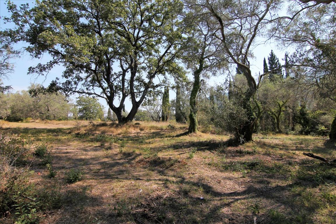 Land in Corfu, Greece, 20 700 m² - picture 12