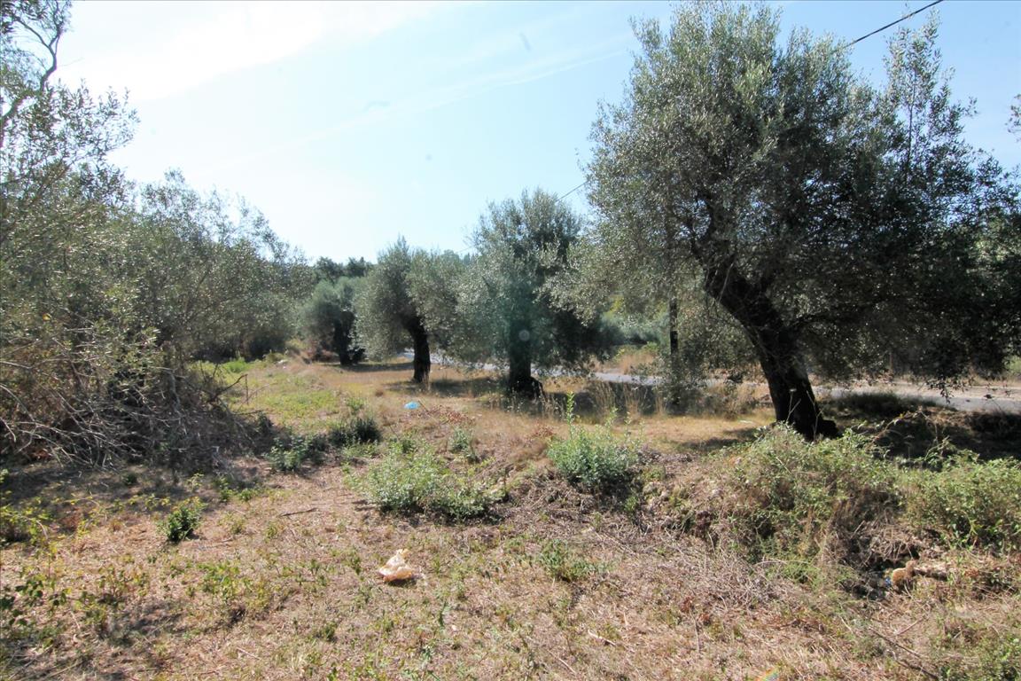Land in Corfu, Greece, 20 700 m² - picture 18