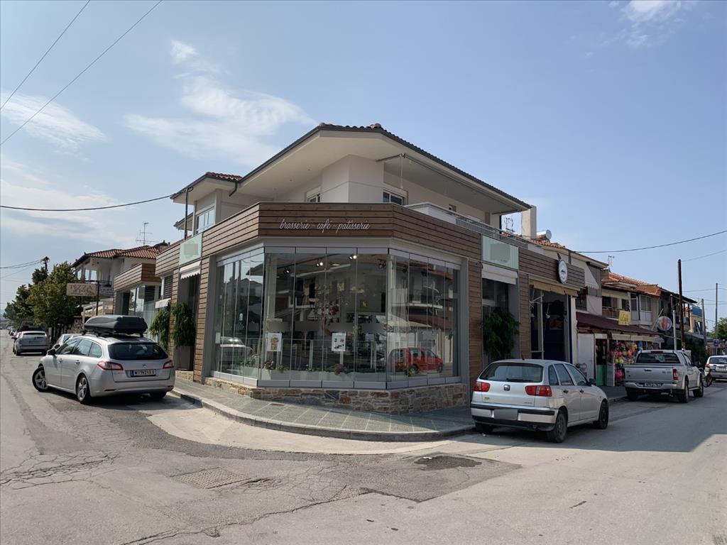 Biens commerciaux en Chalcidique, Grèce, 580 m² - image 1