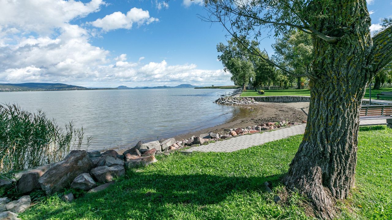 Cafe, restaurant on Balaton, Hungary, 904 m² - picture 5