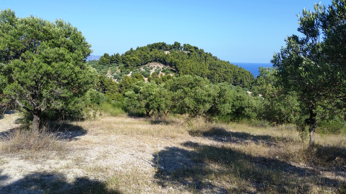 Terrain à Kassandra, Grèce, 9 100 m² - image 2
