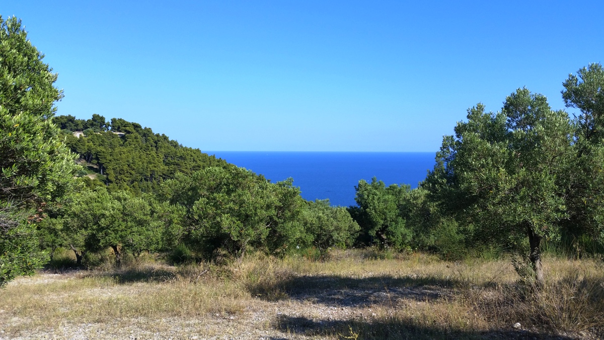 Terrain à Kassandra, Grèce, 9 100 m² - image 3