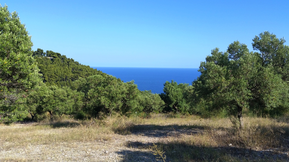 Terrain à Kassandra, Grèce, 9 100 m² - image 4